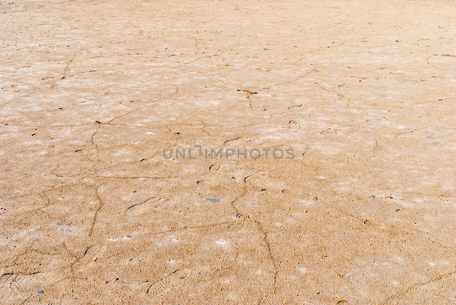 Dry salt lake bottom full of texture.The cracks form a distinctive lightning like pattern.