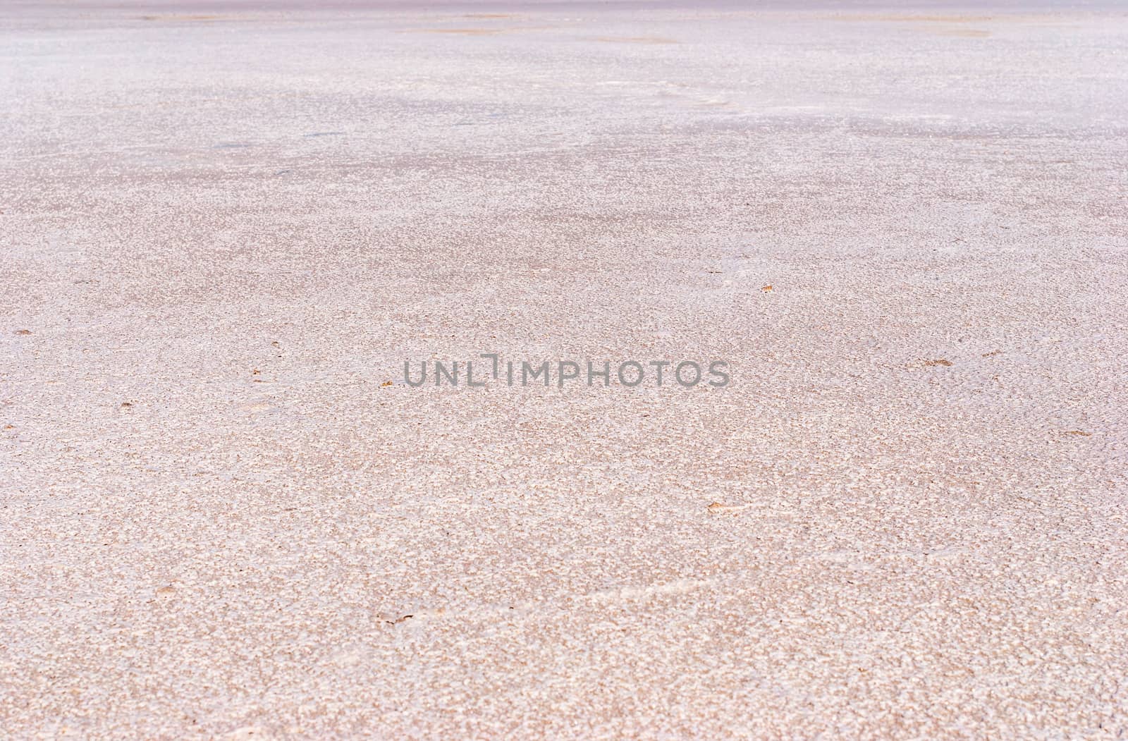 Dry salt lake bottom full of texture.The cracks form a distinctive lightning like pattern.