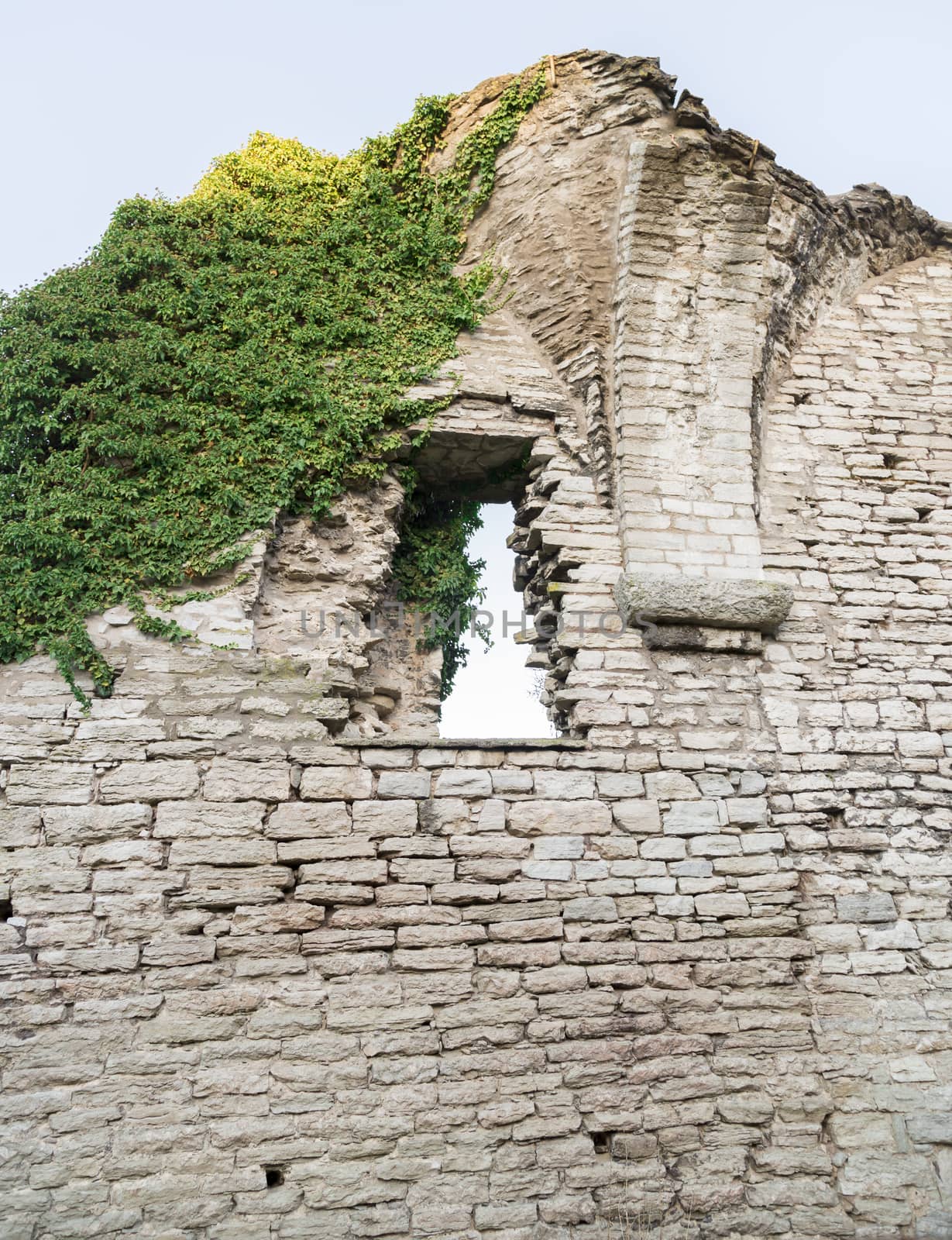 Window in Ruin with green vegetation growing on it.
