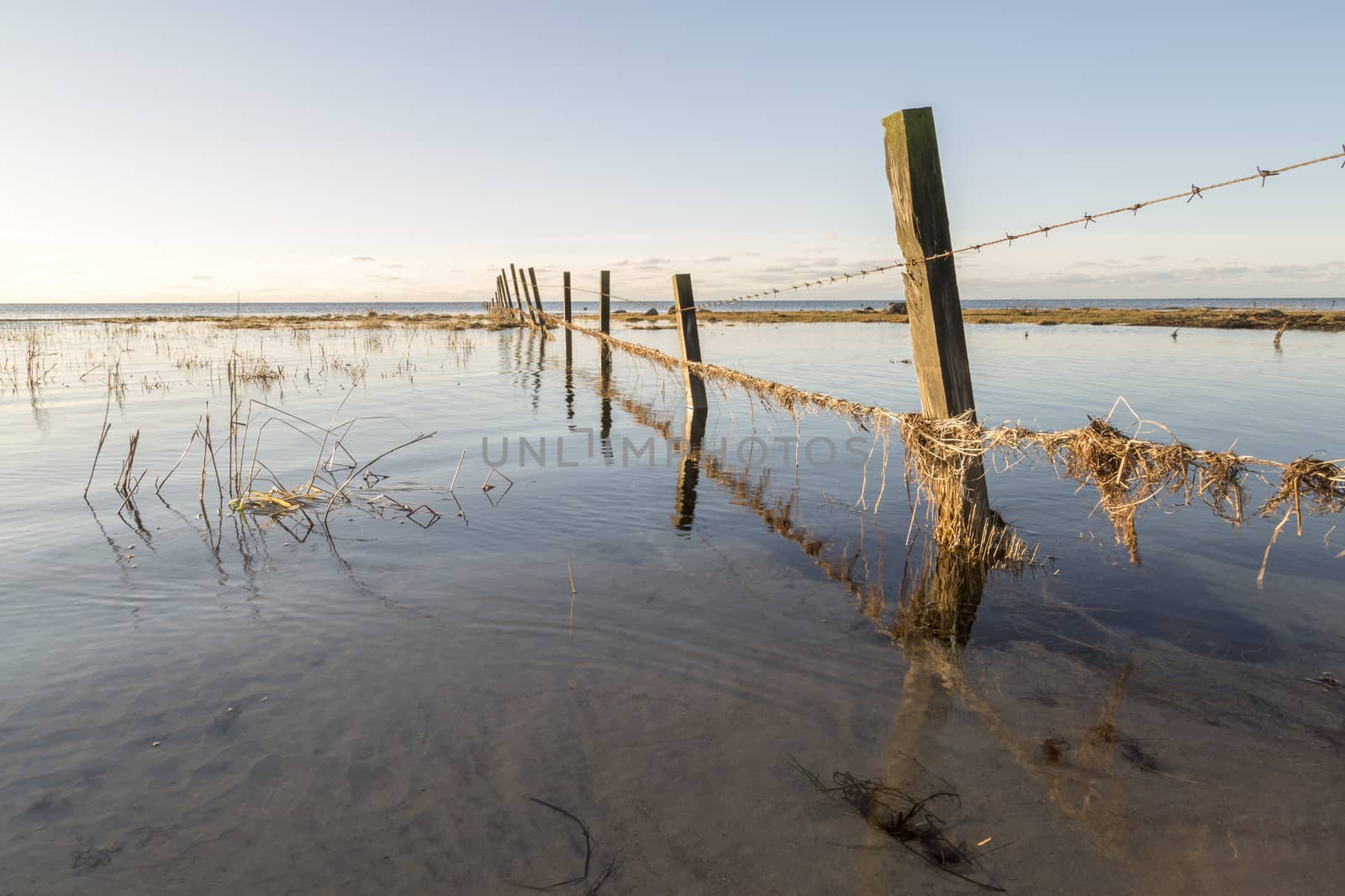 Fence in Water by ocean.