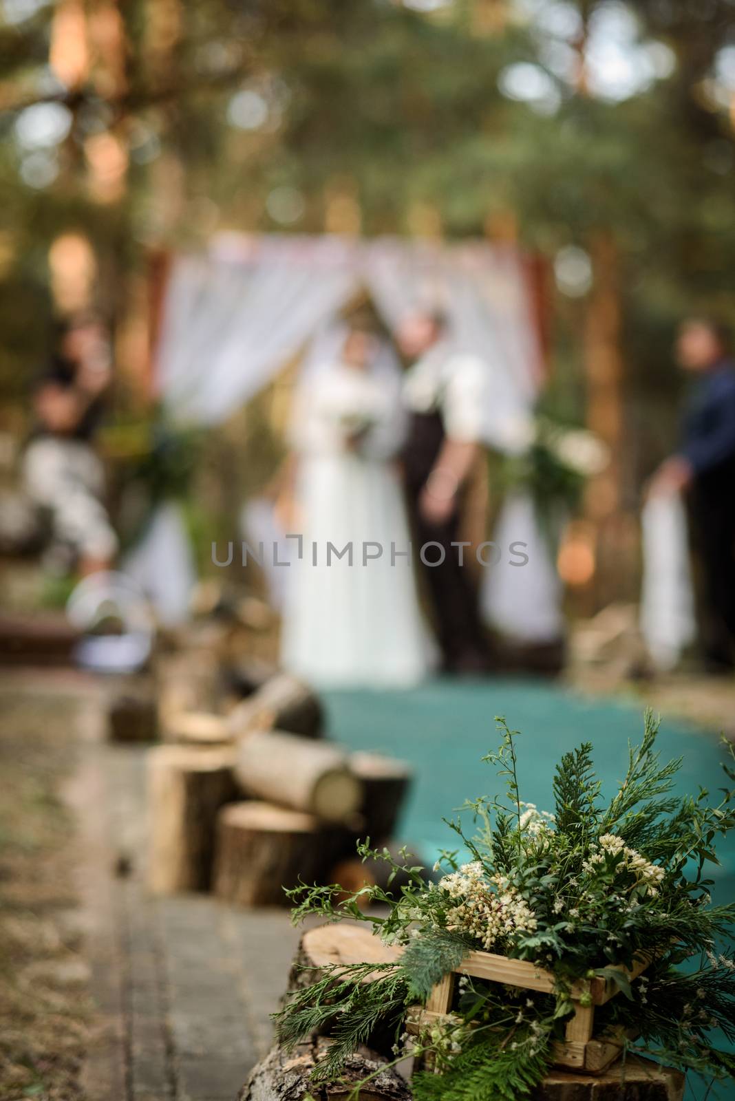 wedding ceremony in the woods among the trees on the green track