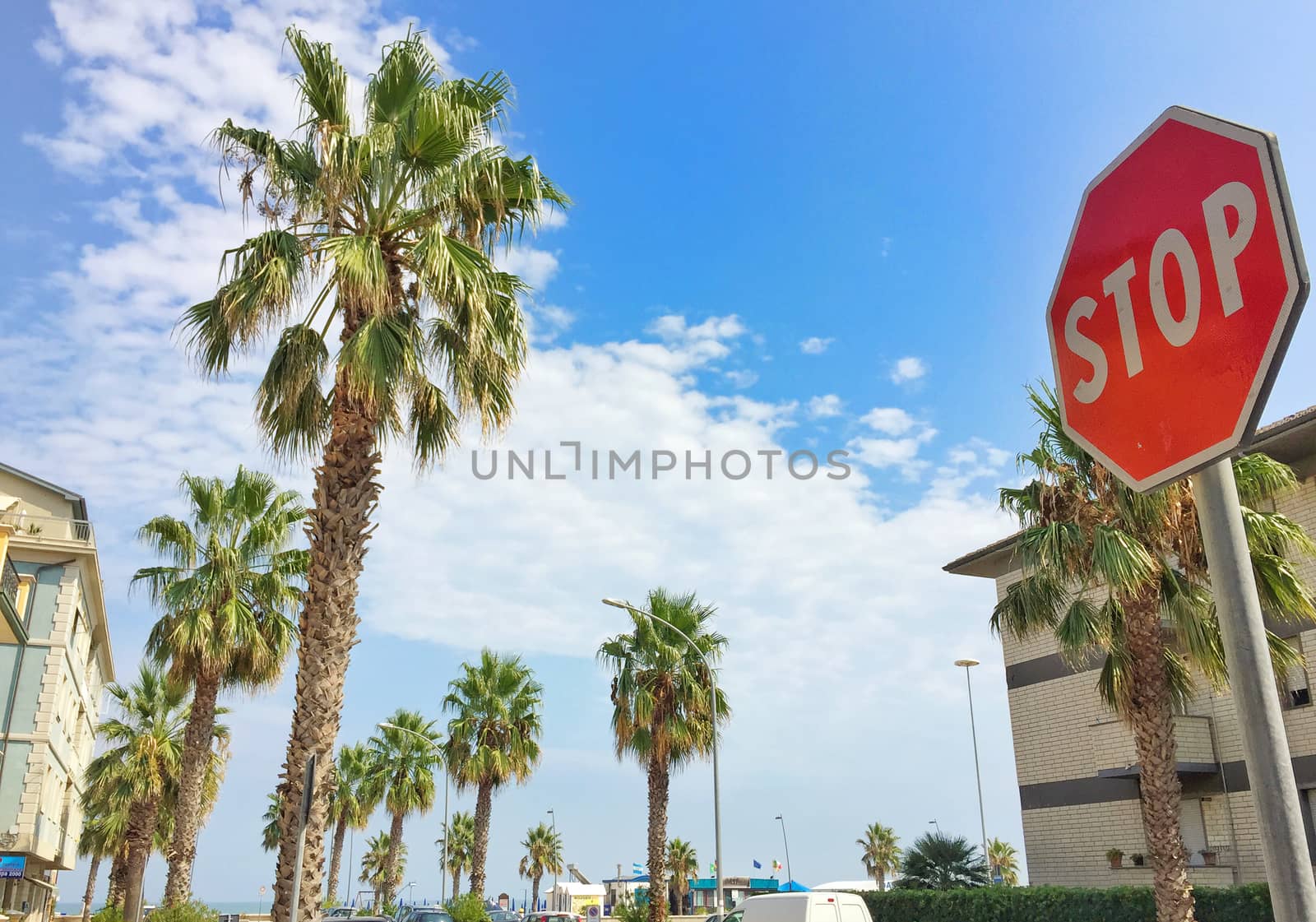 elegant boulevard with palm trees and a red Stop sign in a sunny day