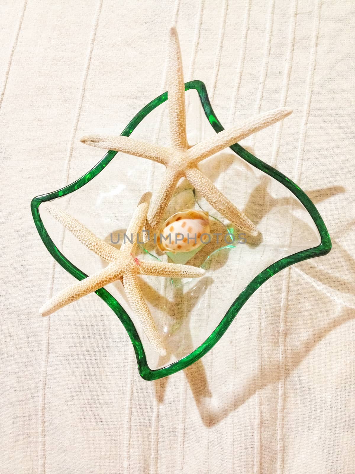 aerial view of a glass container with starfishes and a shell