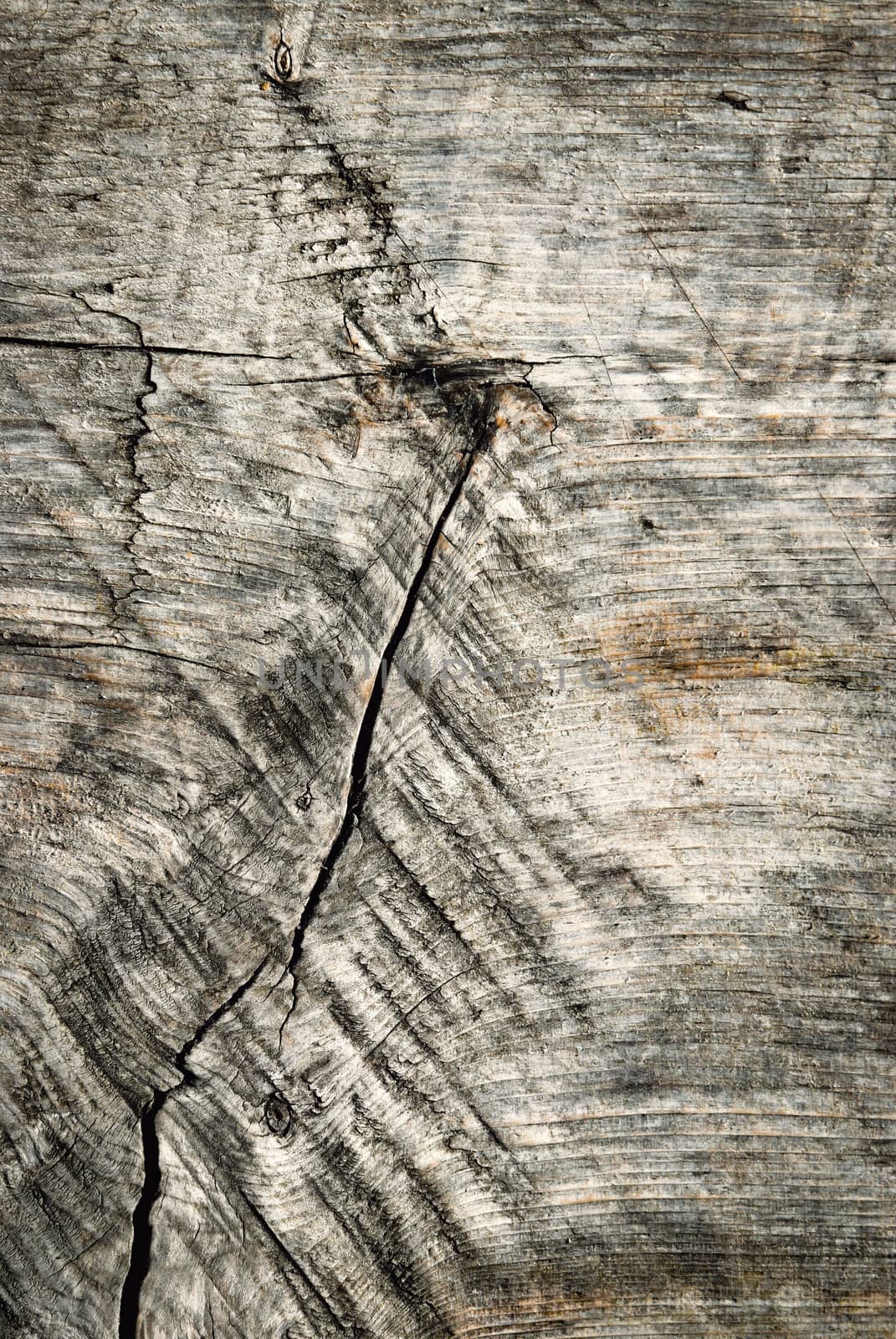 Old wooden board with crack weatherworn by Ahojdoma