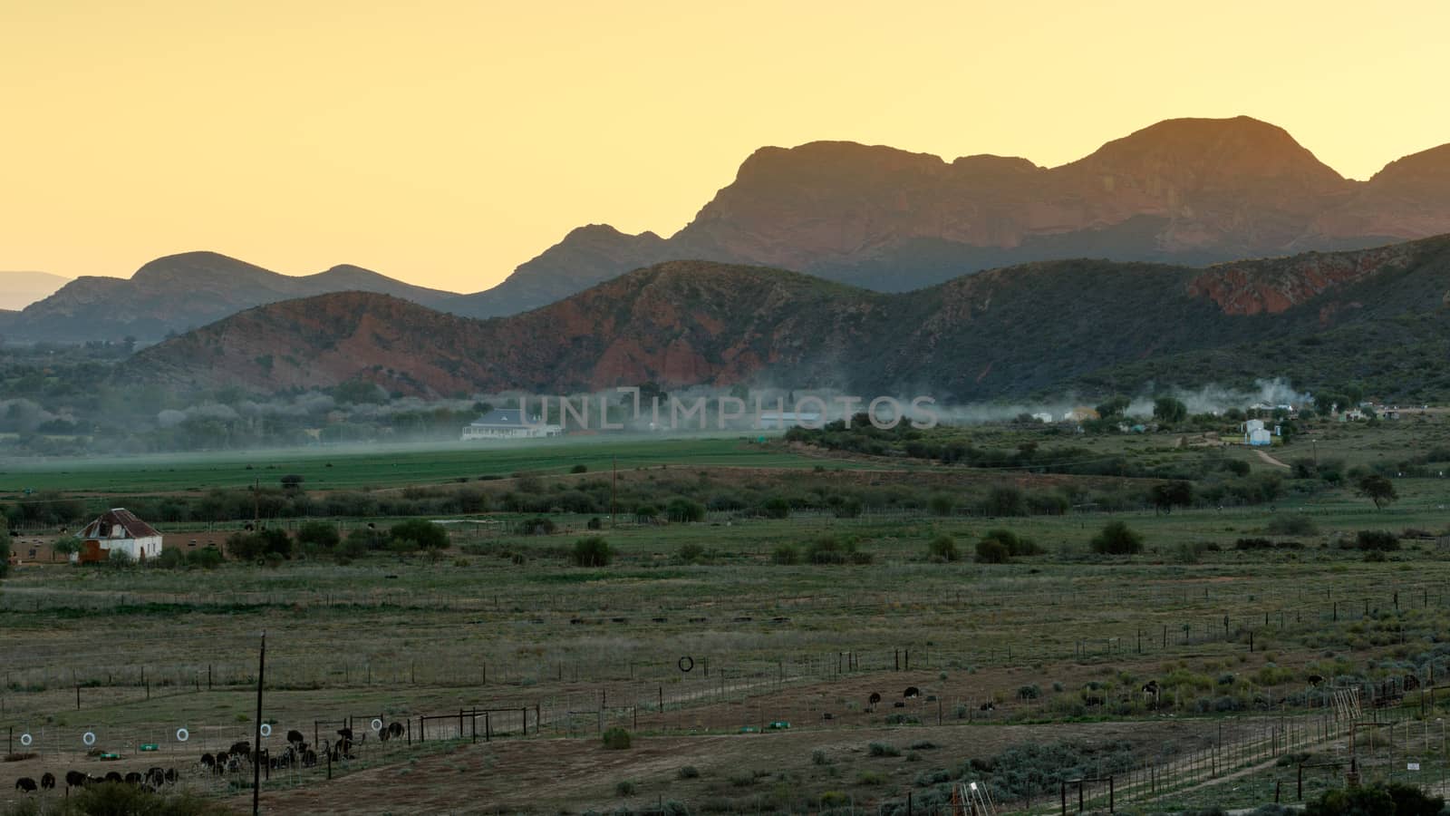 Mist over Middle Plaas - De Rust is a small village at the gateway to the Klein Karoo, South Africa.