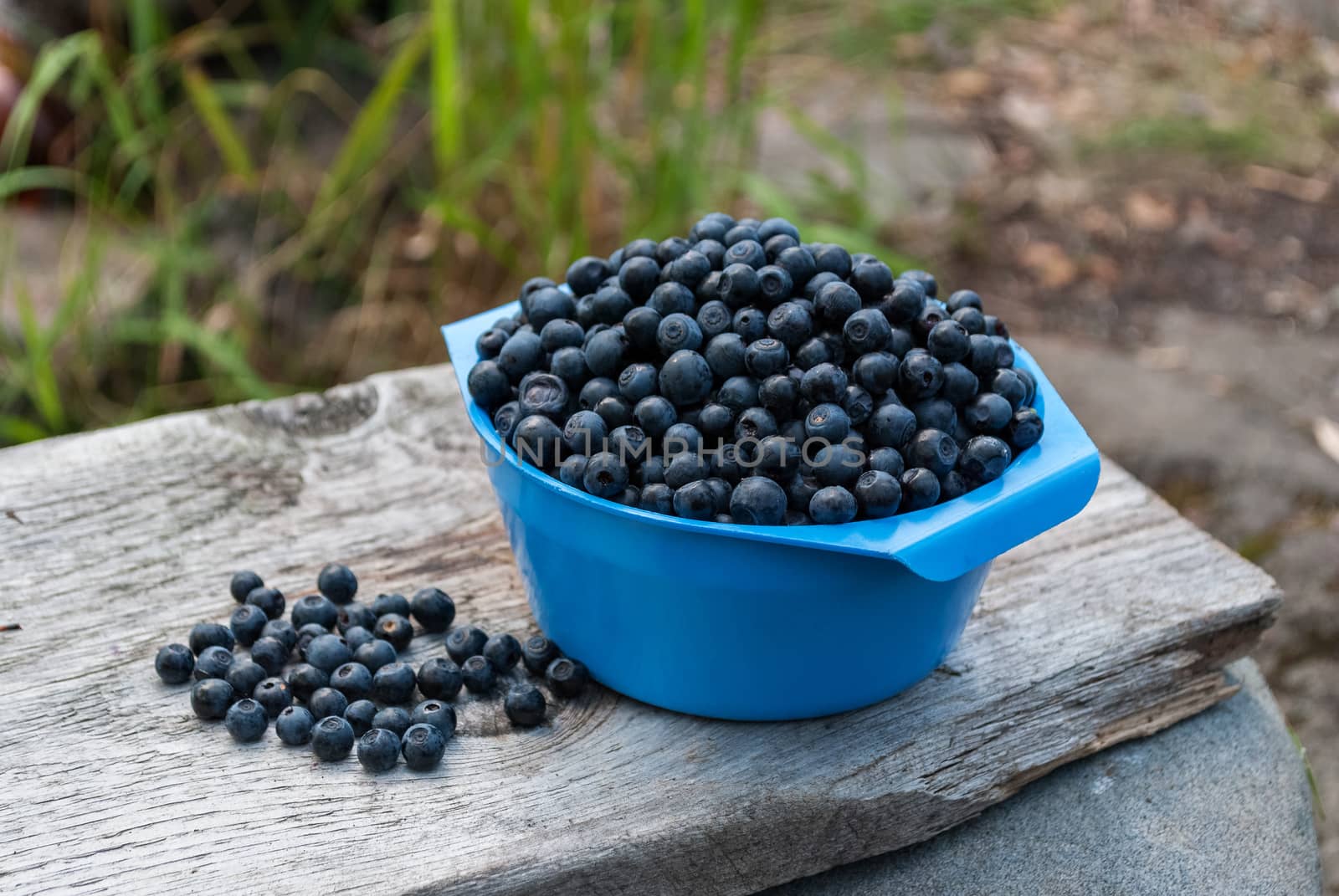 Blue bowl with blueberries on a wooden board.