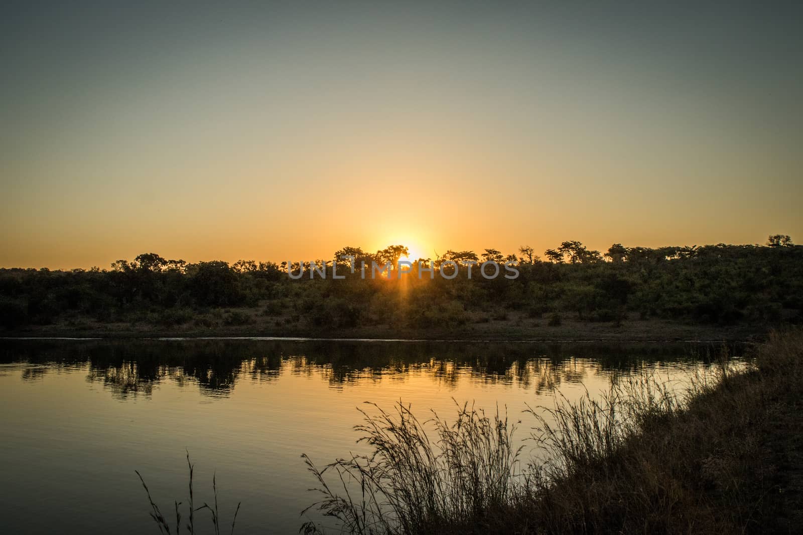 Sunset in the Kruger National Park, South Africa.