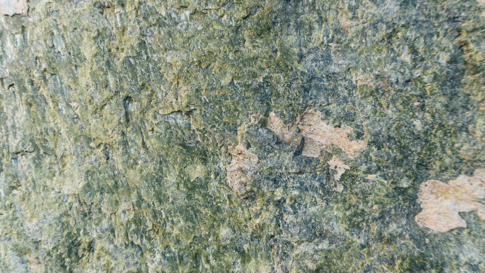 Stone texture background Serpentinite wide angle light