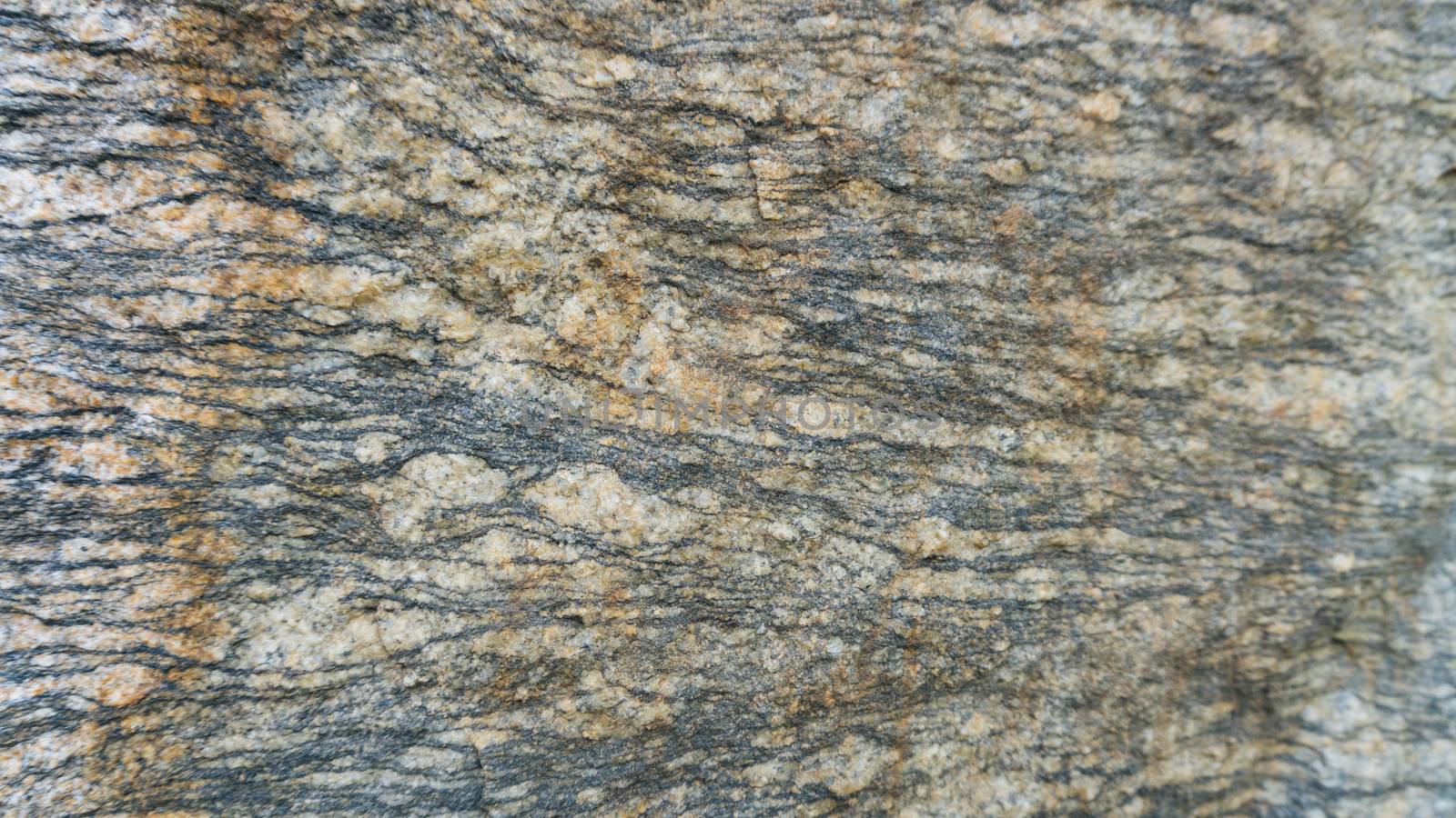 Gneiss Layered Texture. The layers and texture of this natural, Granite Gneiss make an edgy, yet earthy background for any project.