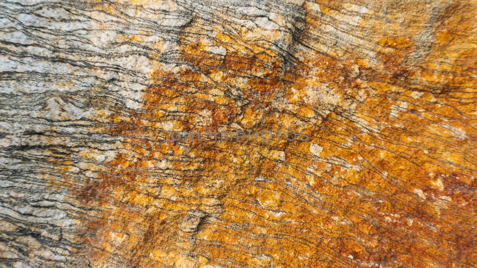 Gneiss Layered Texture. The layers and texture of this natural, Granite Gneiss make an edgy, yet earthy background for any project.