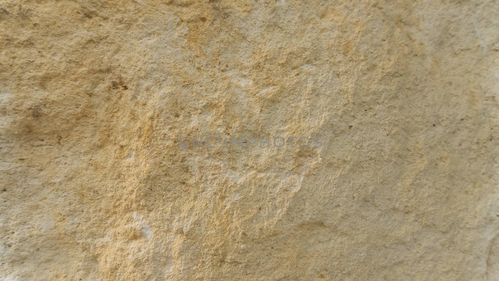 Diplopora Dolomite Rock Layers. Pen for scale usable as texture or background