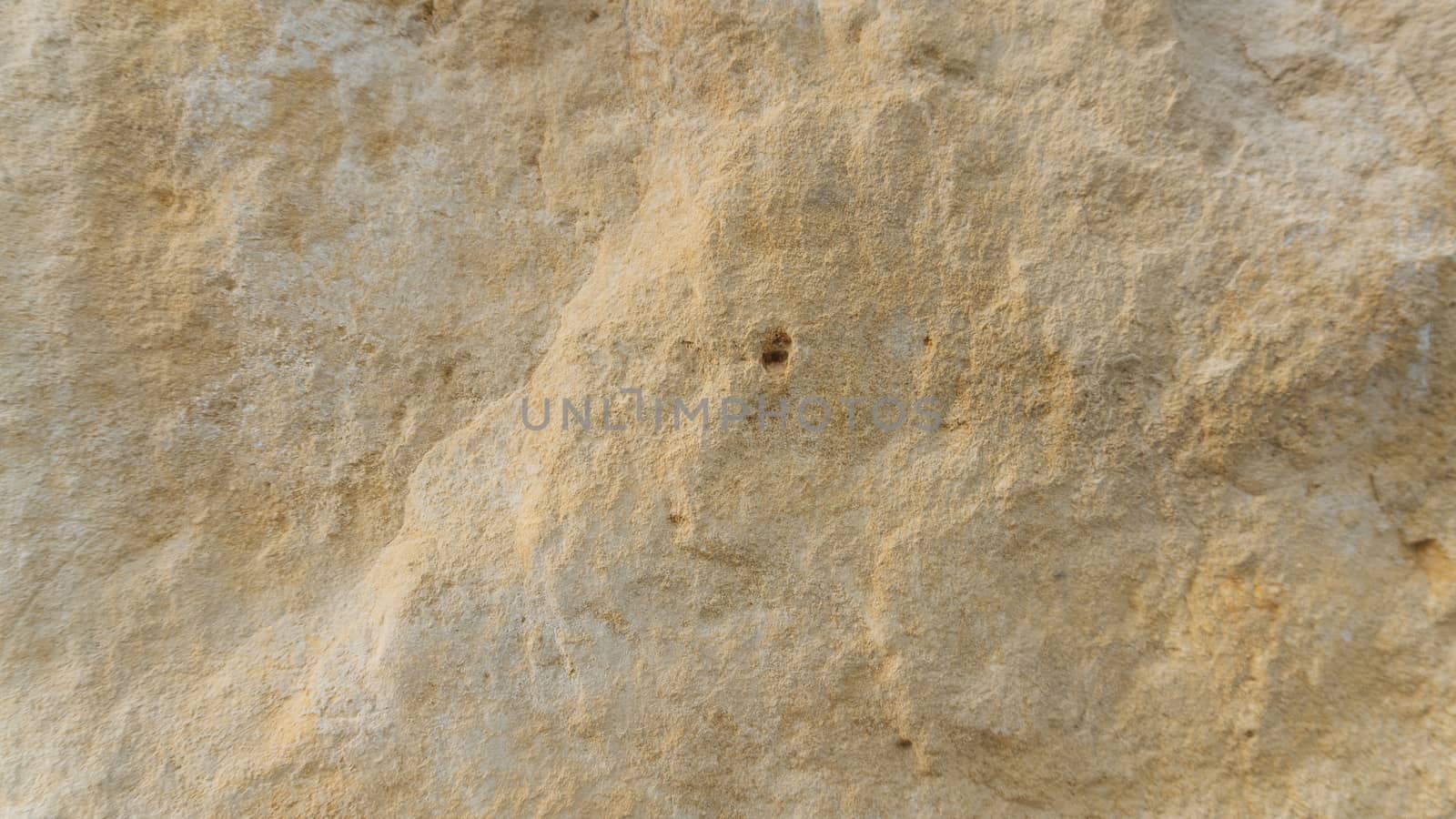 Diplopora Dolomite Rock Layers. Pen for scale usable as texture or background