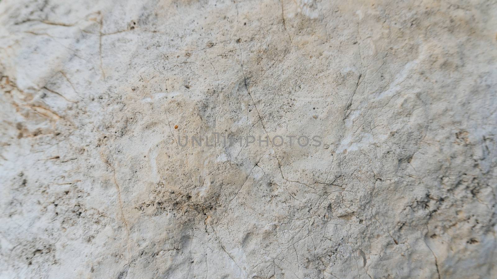 Upper limestone jurassic beige famous Jurassic marble. The texture of the natural stone particles ancient flora and fauna substituted calcite. Natural building materials Jura Gelb.