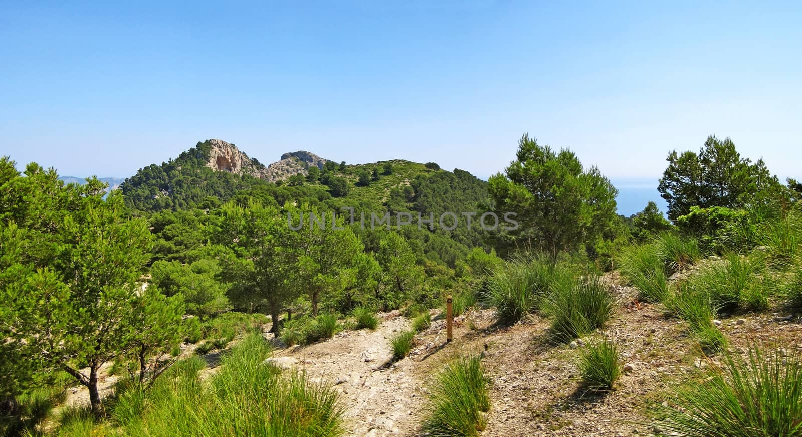 Hiking path in the mountains, panorama by aldorado