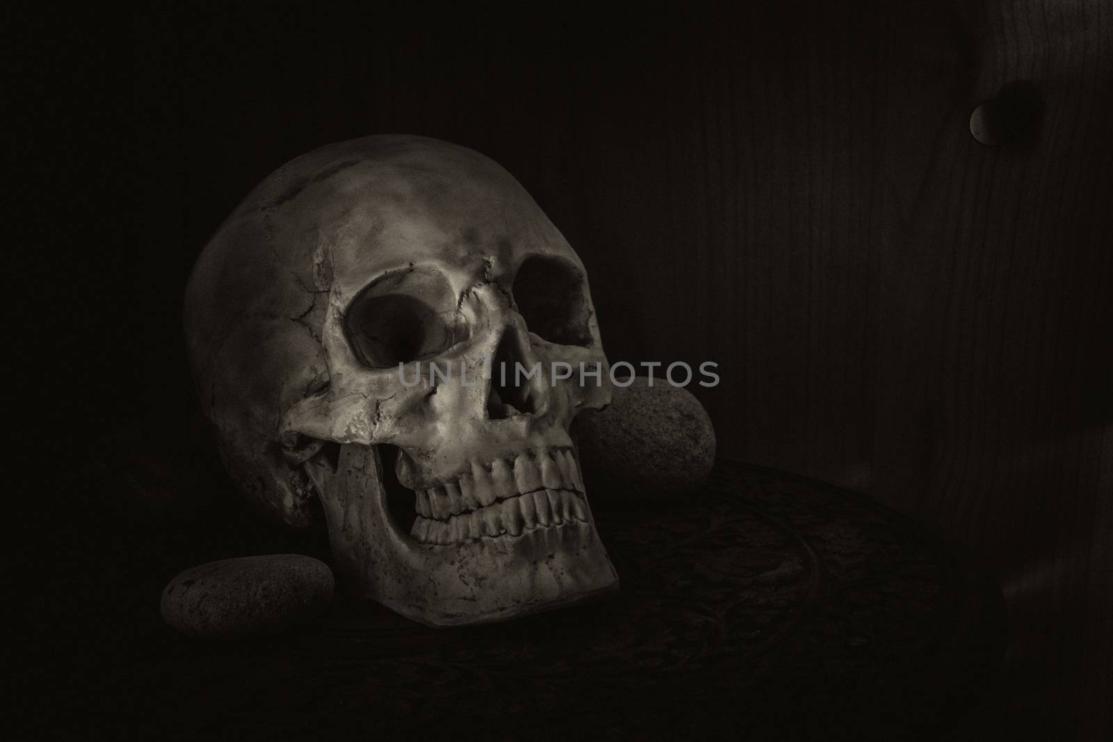 Still life photography with human skull