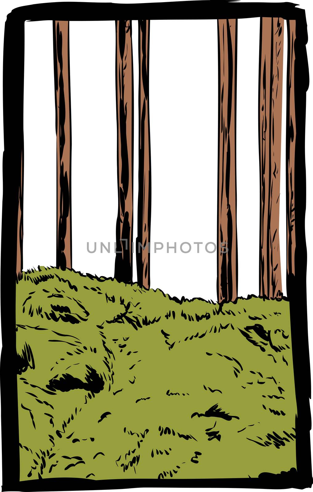 Framed doodle illustration of trail in tall tree forest  with white background
