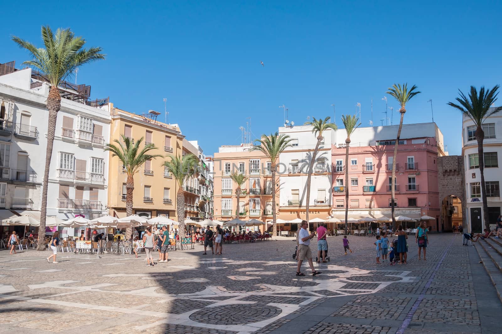 Plaza de la Catedral in Caidz, Spain by mkos83