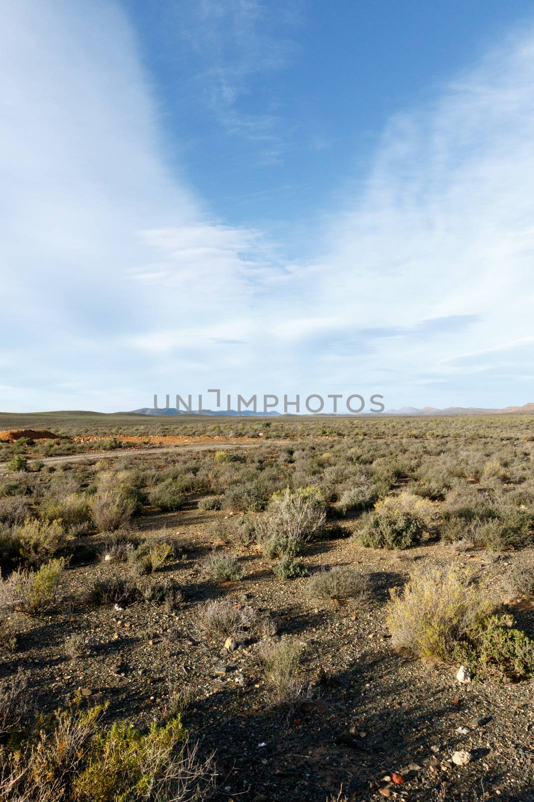 Mountains - Sutherland is a town with about 2,841 inhabitants in the Northern Cape province of South Africa. It lies in the western Roggeveld Mountains in the Karoo