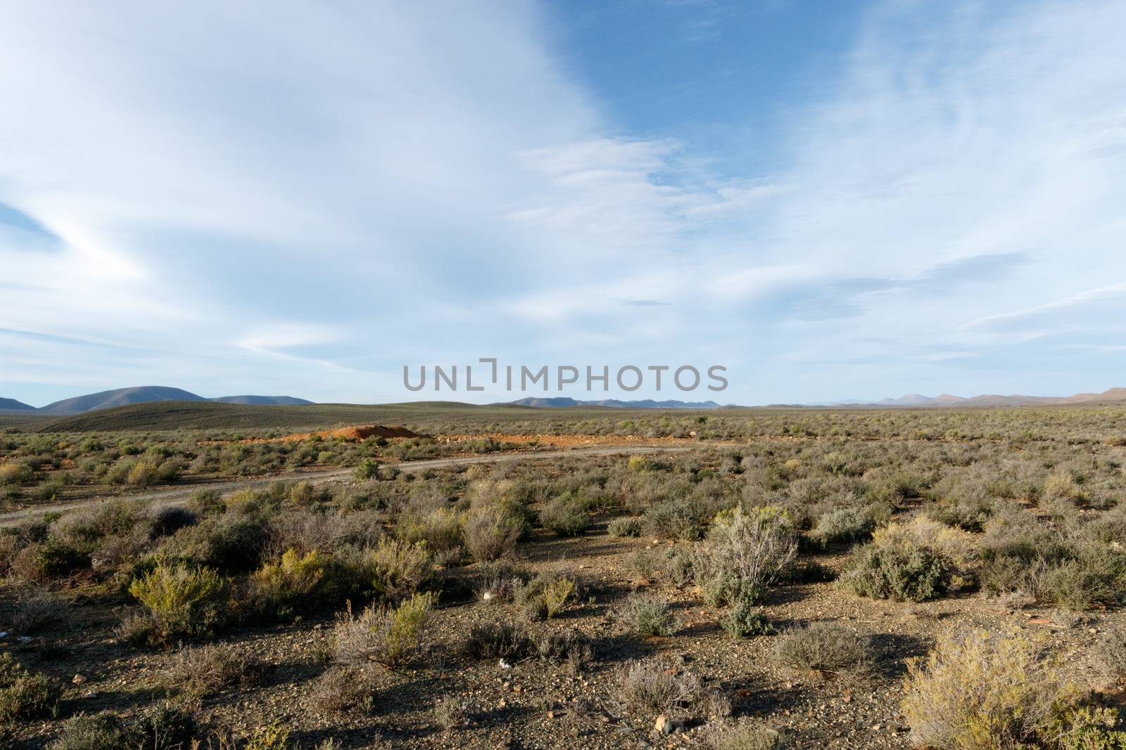 Just WoW  - Yellow in a field of nothing - Sutherland is a town with about 2,841 inhabitants in the Northern Cape province of South Africa. It lies in the western Roggeveld Mountains in the Karoo