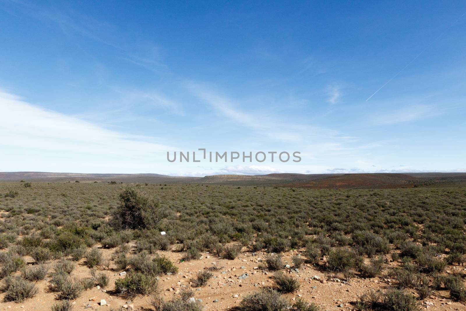 Green and Cold - Sutherland is a town with about 2,841 inhabitants in the Northern Cape province of South Africa. It lies in the western Roggeveld Mountains in the Karoo