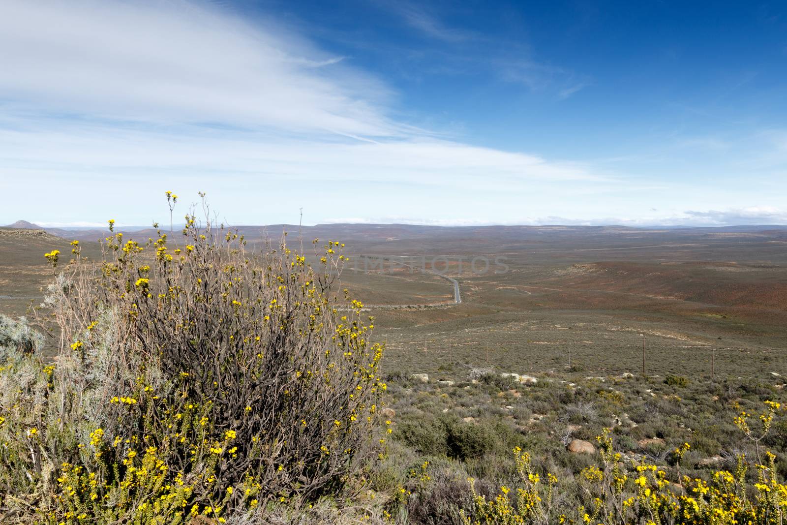 Yellow in a field of nothing - Sutherland is a town with about 2,841 inhabitants in the Northern Cape province of South Africa. It lies in the western Roggeveld Mountains in the Karoo