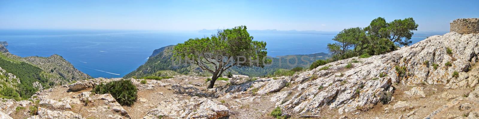 Mediterranean mountain / ocean panorama with tree - horizon / blue water in the background