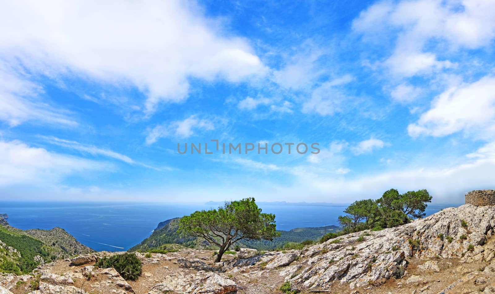 Mediterranean mountain / ocean panorama with tree - horizon / blue water and cloudy sky