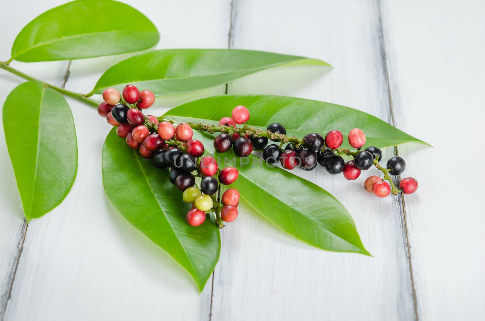 Thai Blueberry fruits with leaves over wooden background , still life