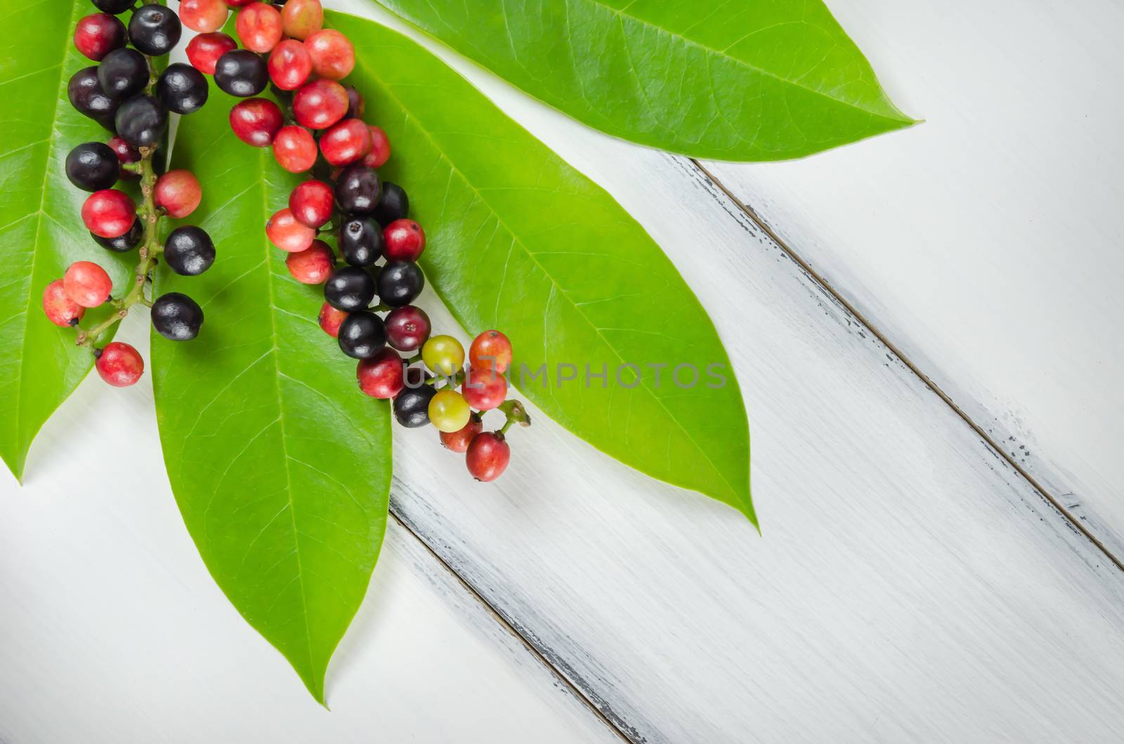 Thai Blueberry fruits with leaves over wooden background , still life