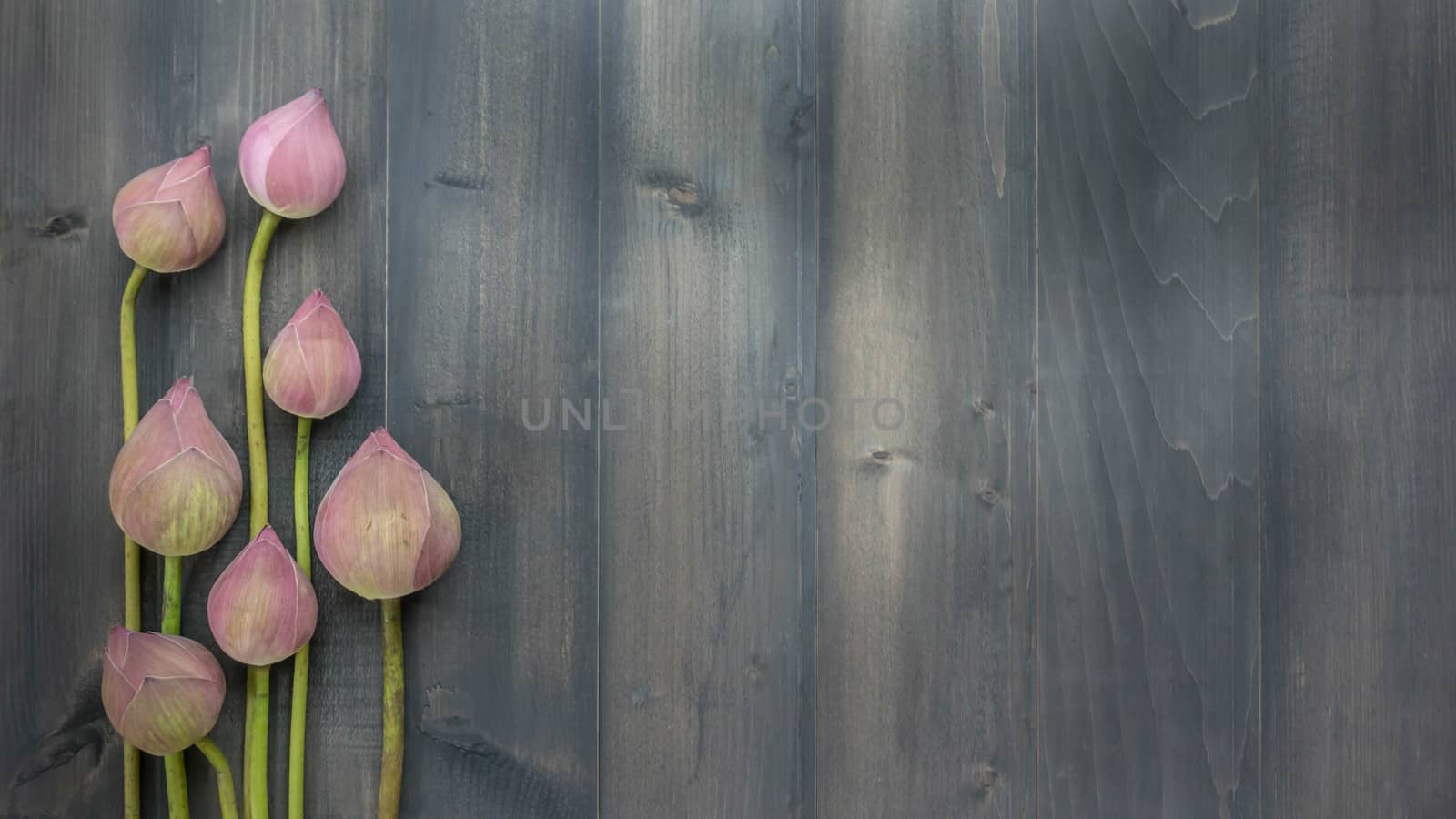 top view of pink water lily over wooden background,  Free space for text