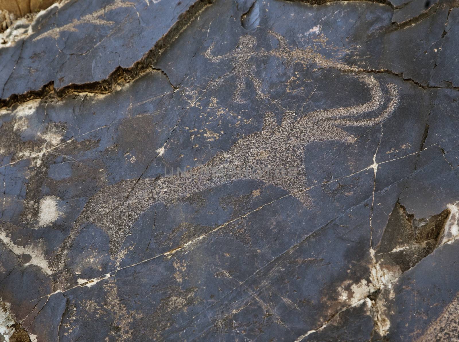 Ancient petroglyph carved in rock, Sarmishsay, Uzbekistan