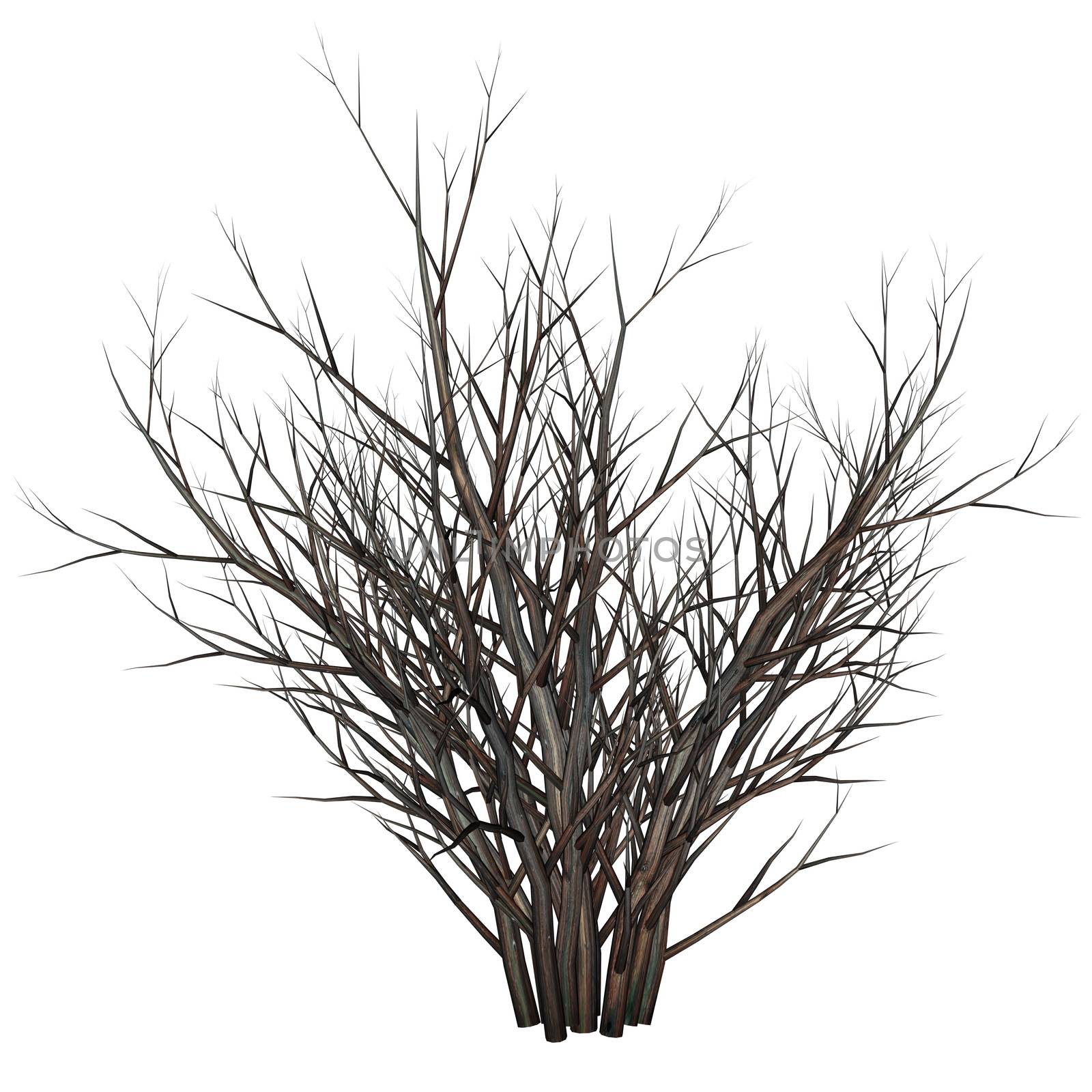 Dead tree bush in the desert with crow raven by night with full moon - 3D render