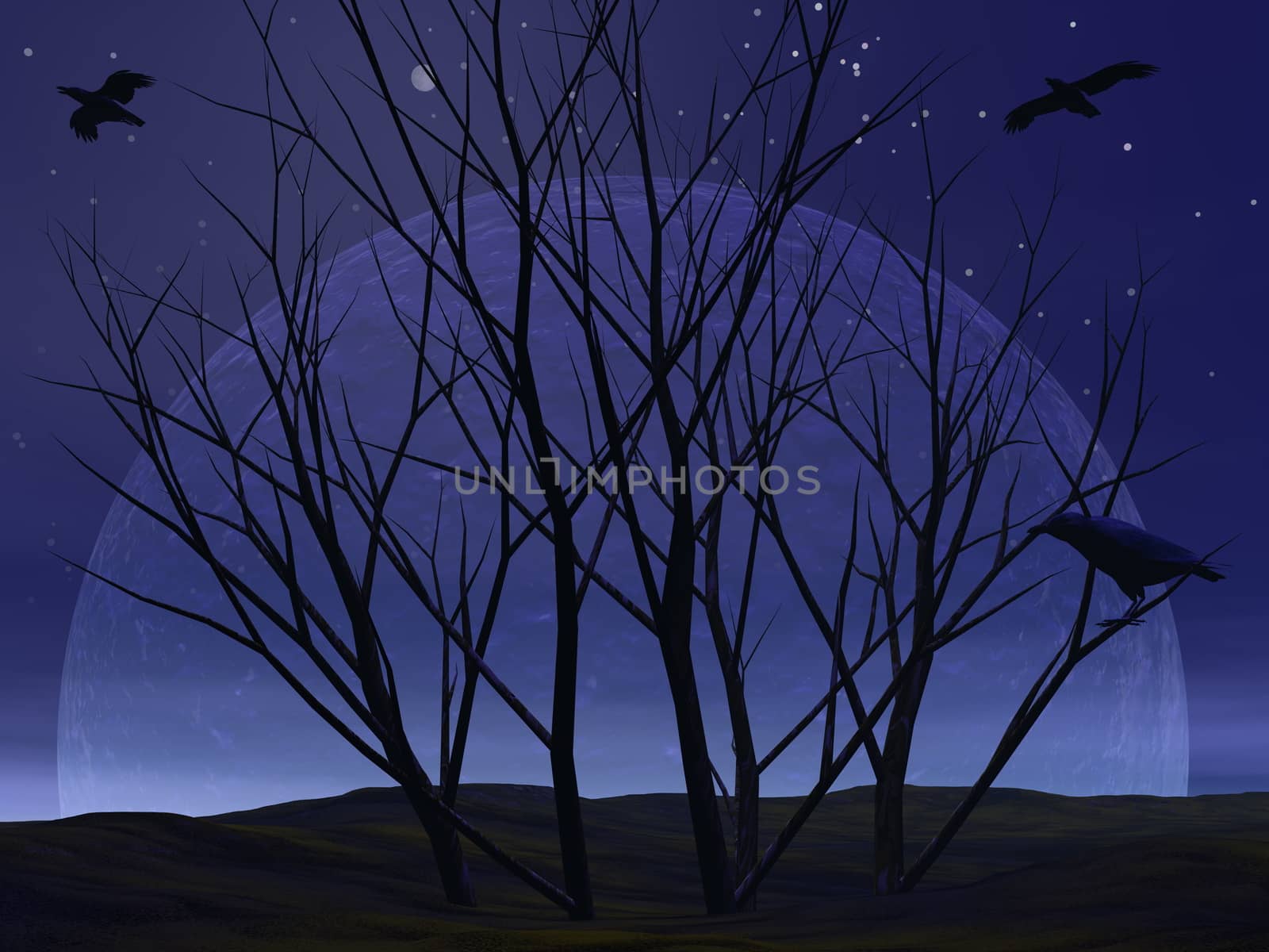 Dead tree bush in the desert with crow raven by night with full moon - 3D render