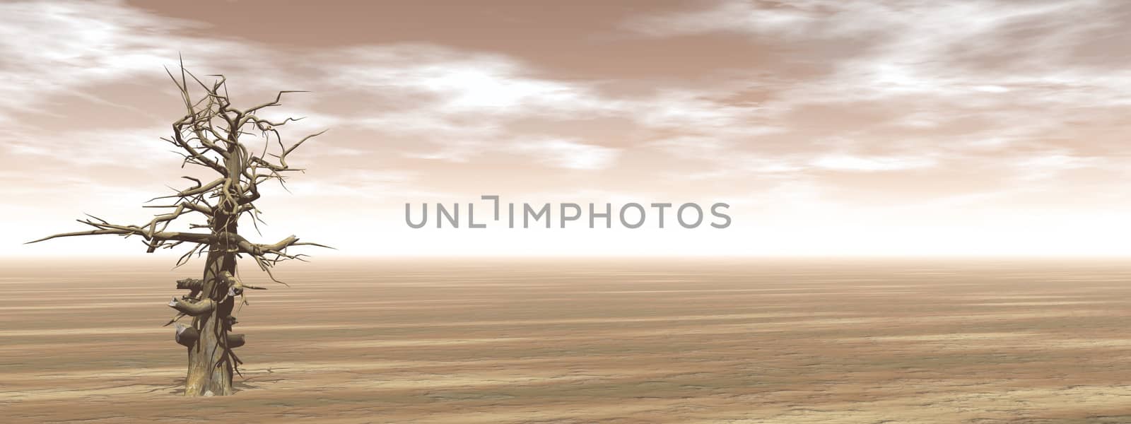 Single dead tree in the desert - 3D render by Elenaphotos21