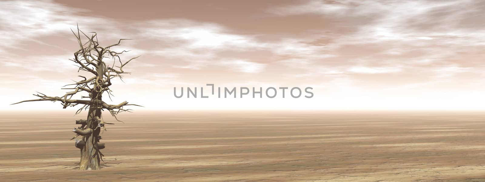 Single dead tree in the desert by brown sunset - 3D render