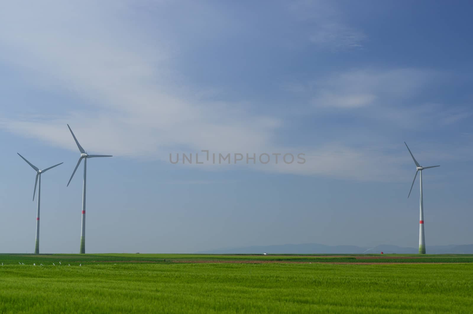 meadow with Wind power turbines generating electricity