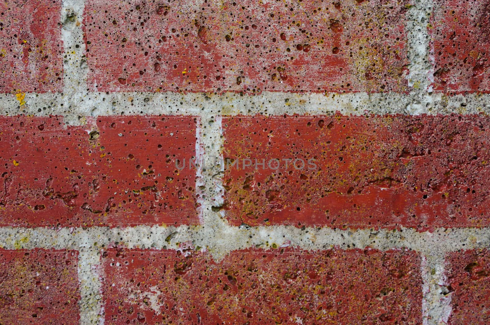 a red Brick wall in a close up