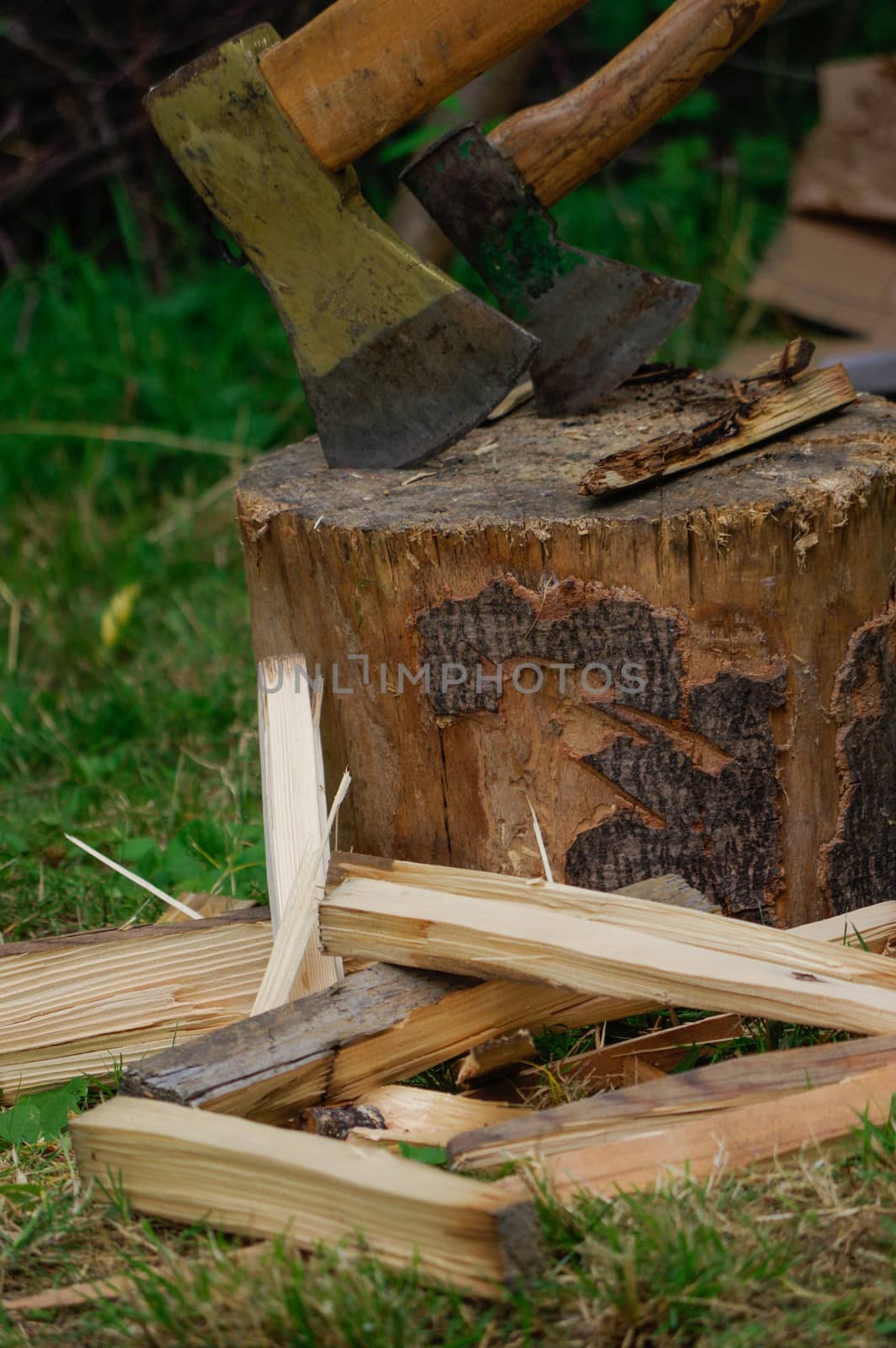 two ax in stump with wood crest on a background of green grass and firewood by evolutionnow