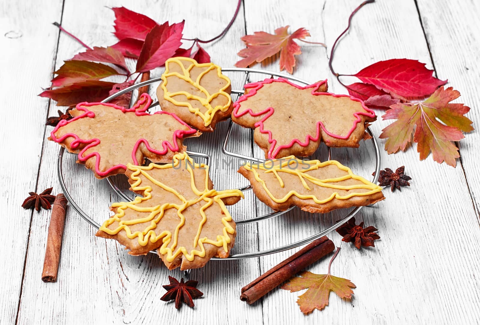 Symbolic autumn cookies by LMykola