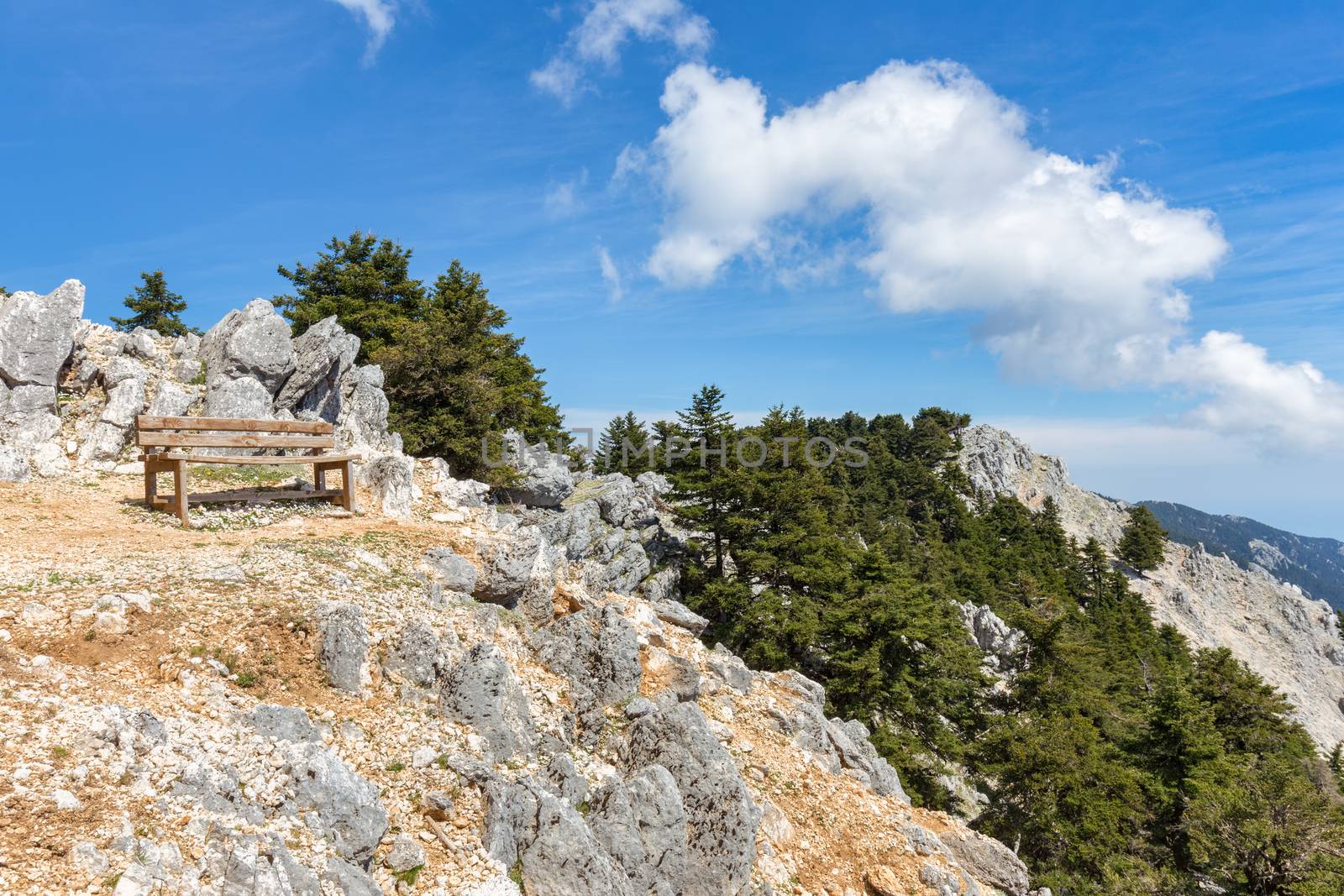 Bench on rocky mountain with fir trees blue sky and white clouds