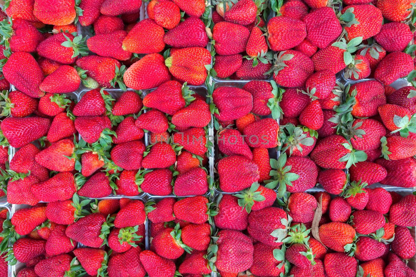 Boxes filled with red strawberries  by BenSchonewille