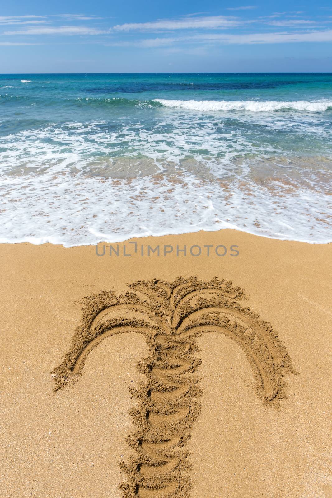 Drawing of palm tree on sandy beach on island of Greece