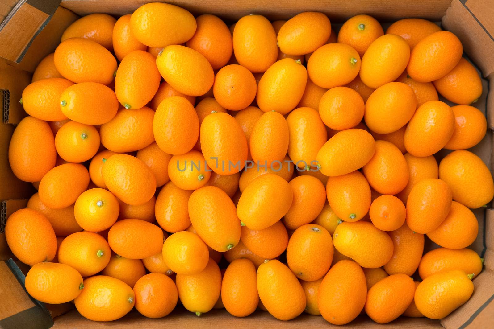 Heap of orange kumquats in cardboard box on market