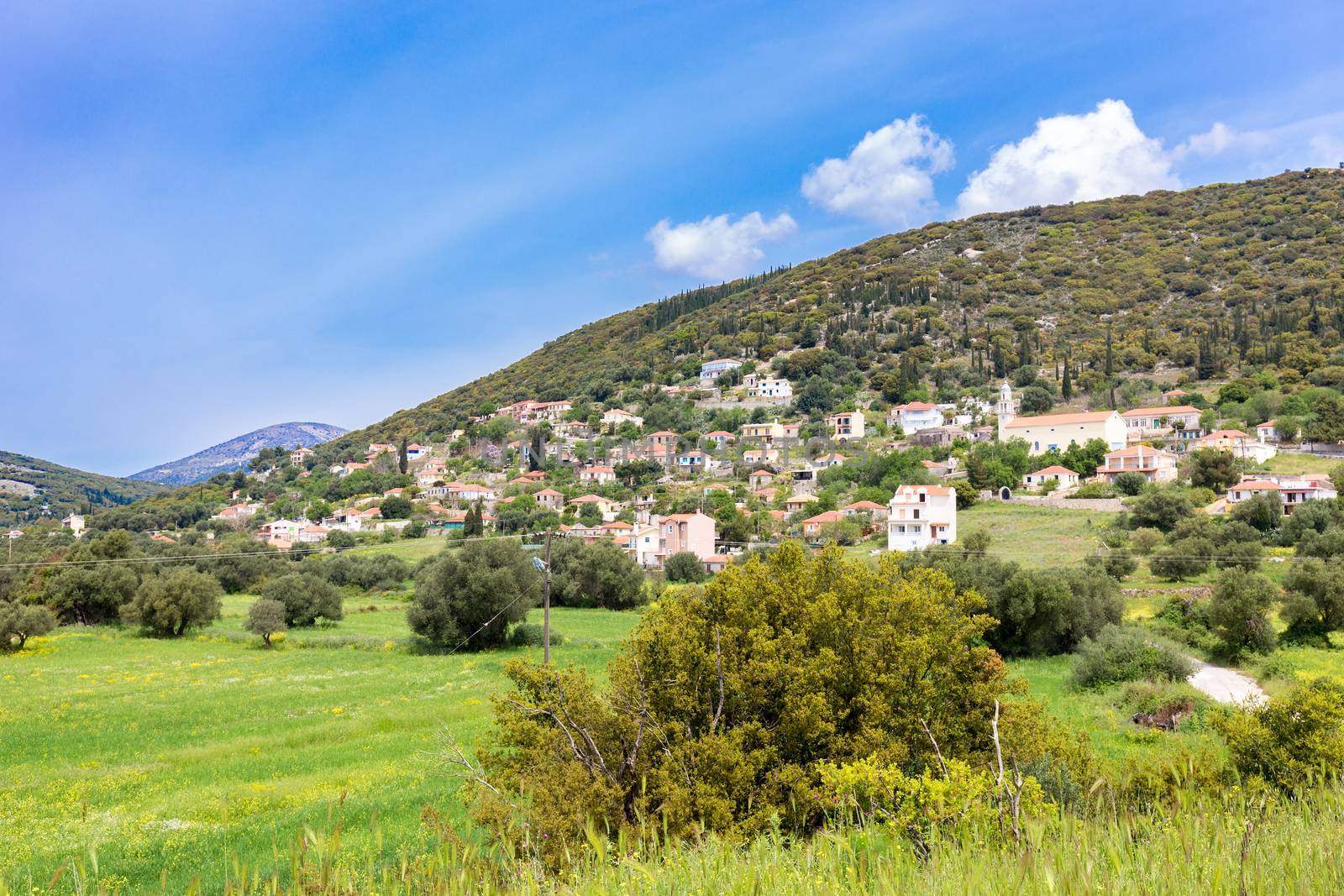 Landscape village with houses in Greek valley of Kefalonia in spring