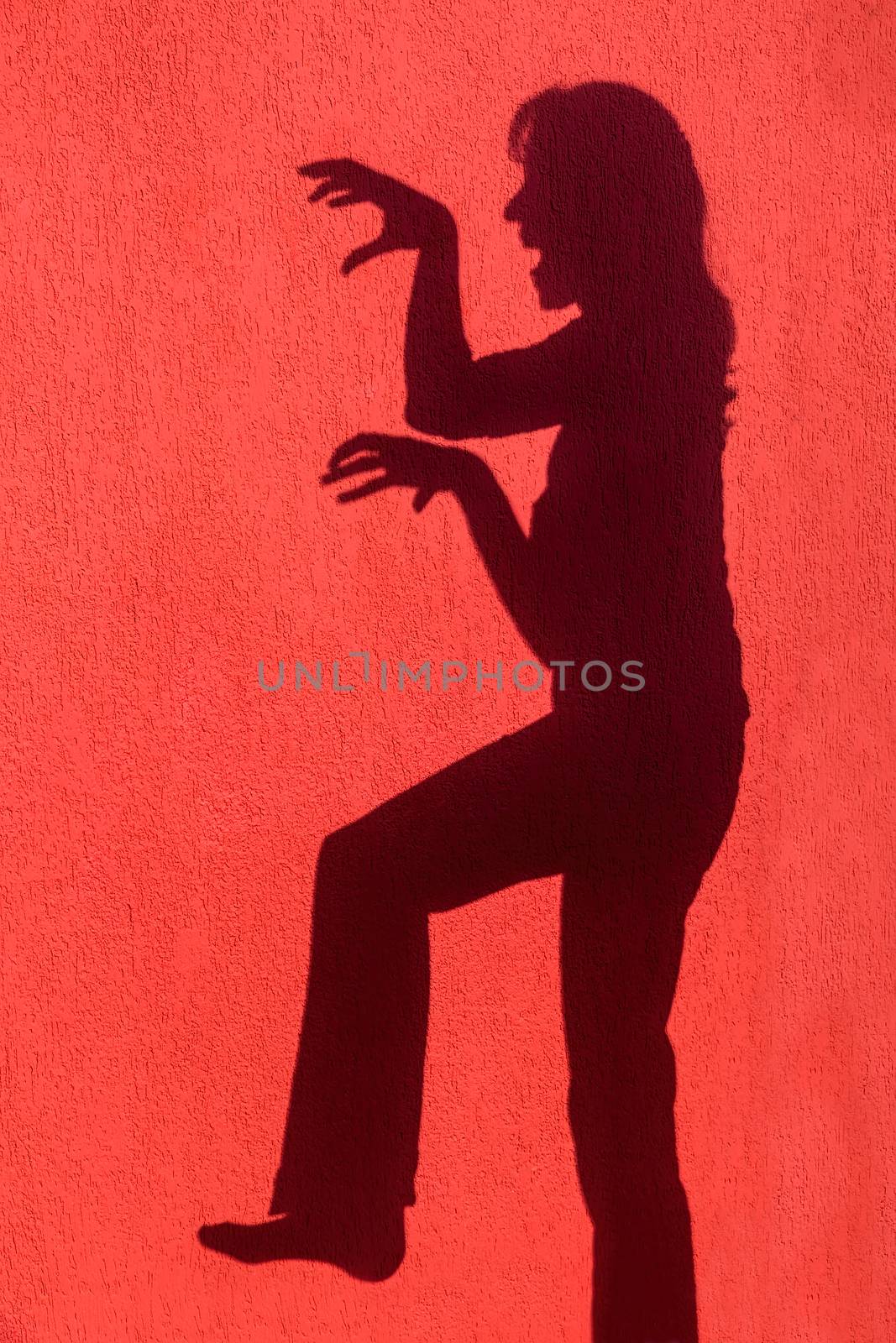 Profile shadow of woman on red wall by BenSchonewille
