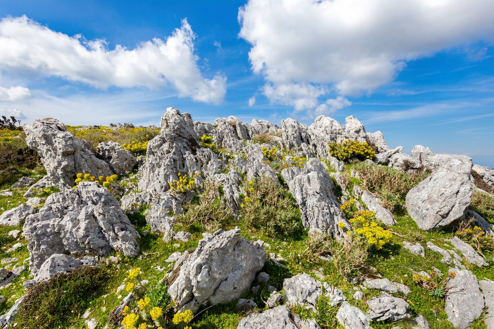 Rocky mountain in Kefalonia greece during summer season