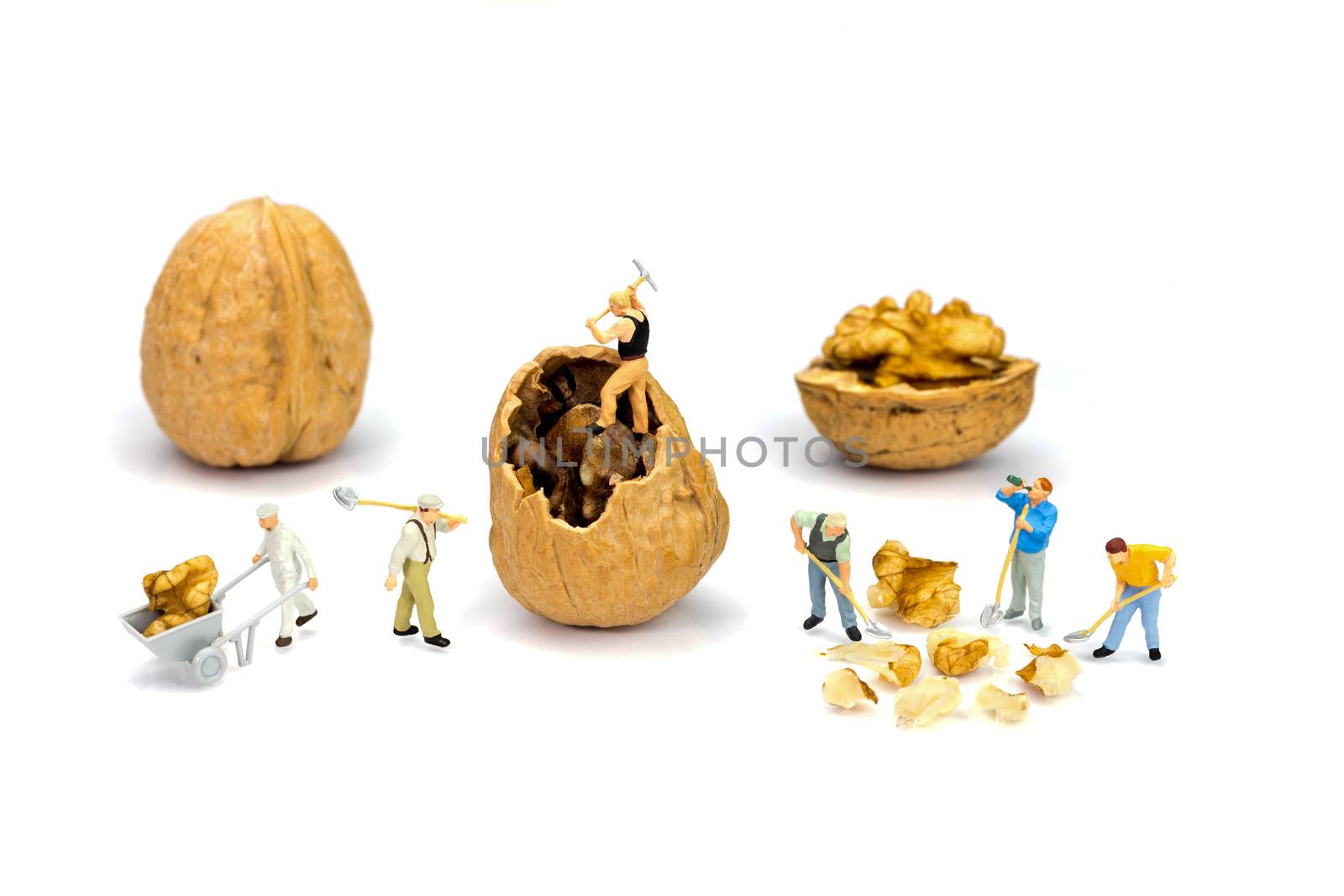 Team of miniature human figurines transporting content of walnut isolated on white background