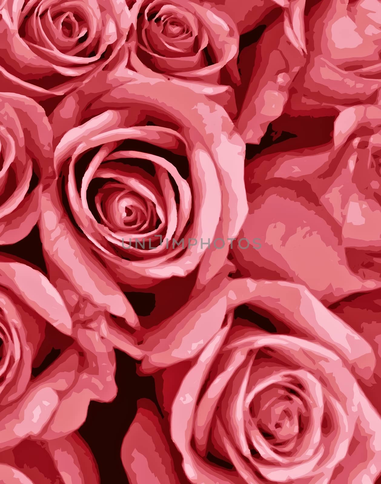 romantic pink roses for your love one