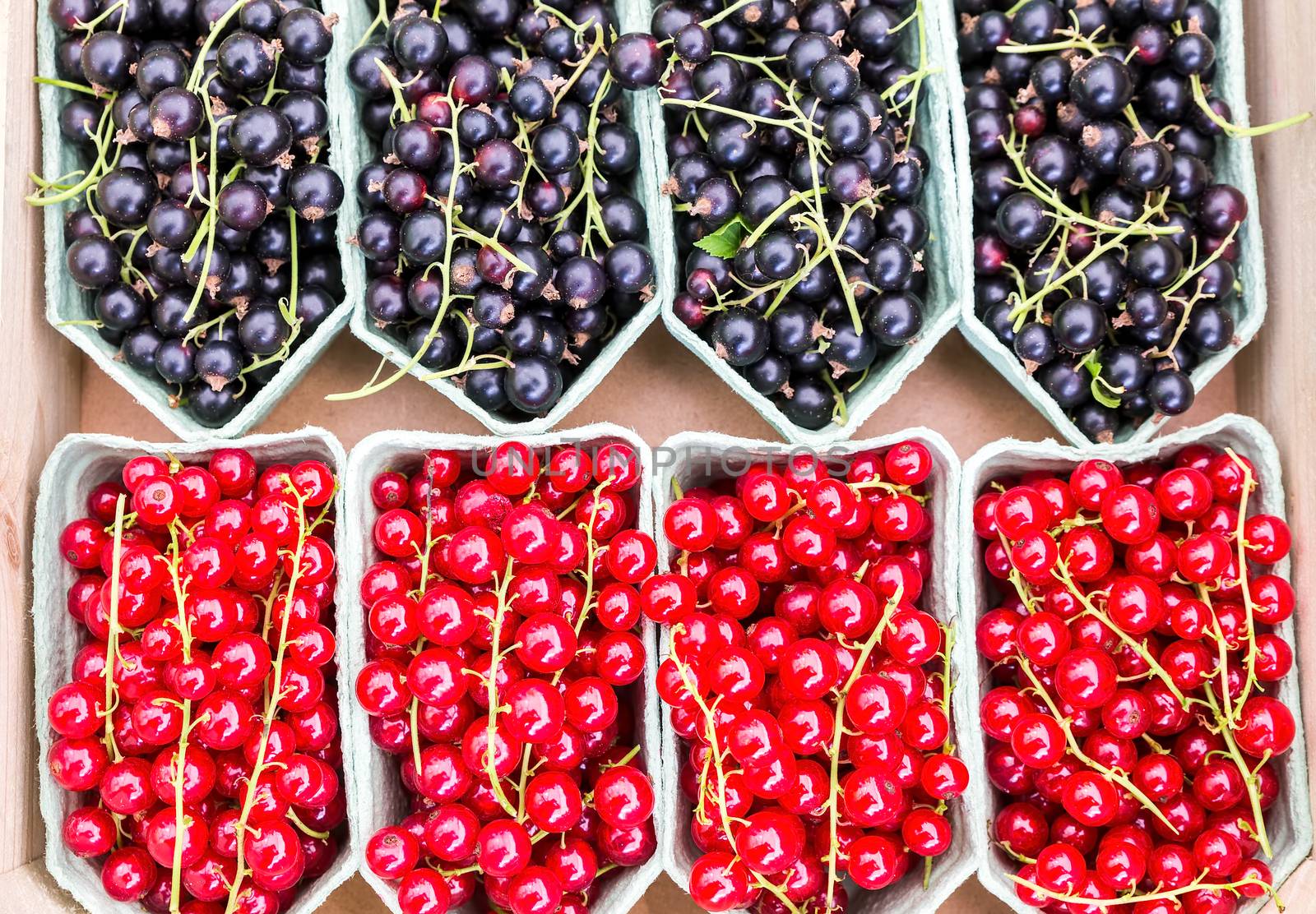 Fruit baskets with red berries and black currants on market