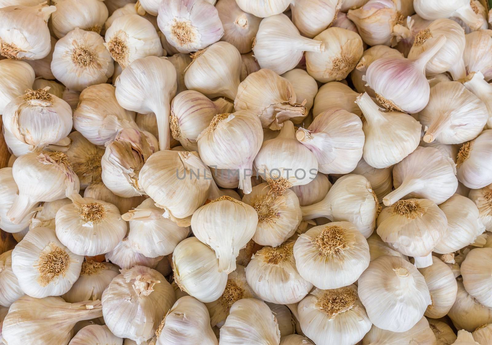 Heap of white garlic bulbs on market by BenSchonewille